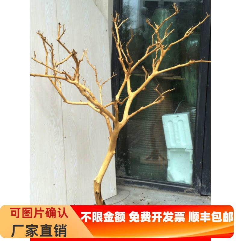 干树枝造景干枝树干许愿树枯树室内庭院造型树枝干原木树枝装饰树