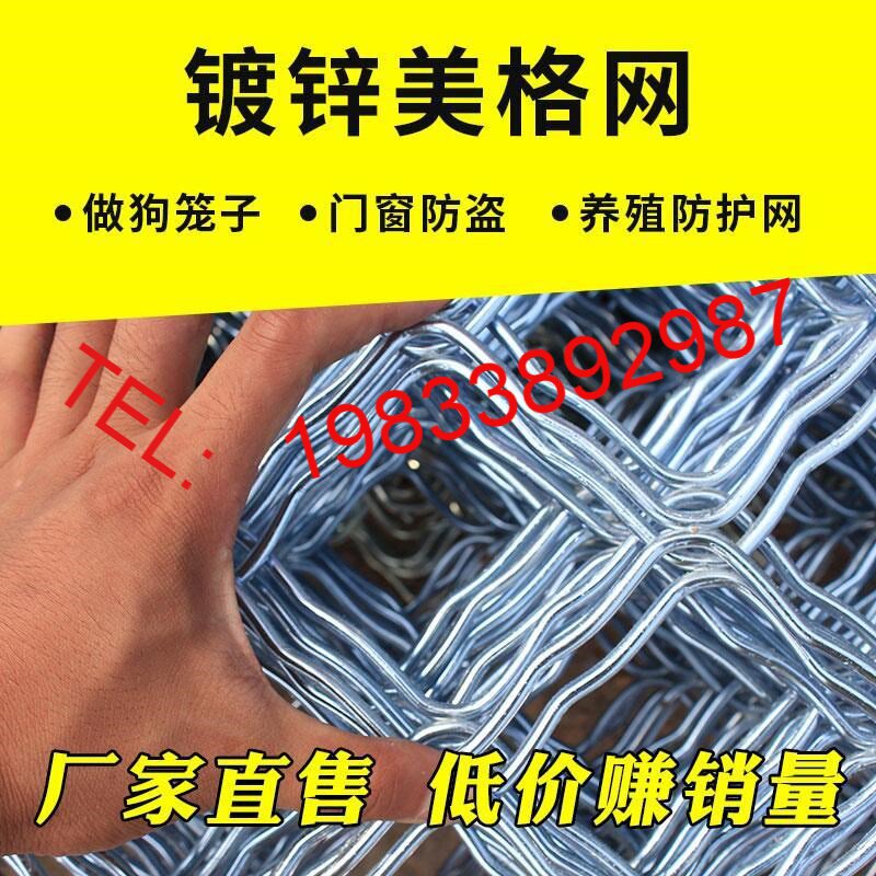 美格网铁丝网镀锌焊接网片户防盗网狗子网菱形网养殖防护网