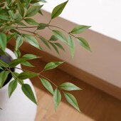 饰 装 森空间仿真绿植室内软装 搭配南天竹假树风格