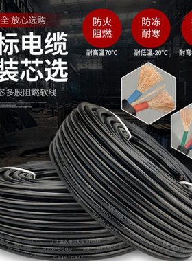 电缆线2芯1.5/2.5/4/6平方电线软线室外防水防冻护套线3芯电源线