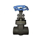 API 602锻钢闸阀1