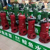 昆明鲸鱼污水泵化粪池排粪用泵无堵塞排污泵工程用污水泵