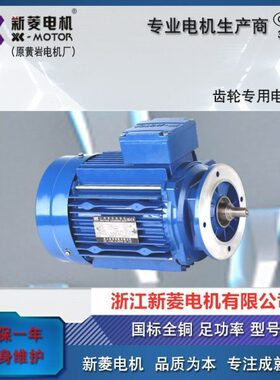 三相异步电机YB2 112M-4-HR06058 4KW浙江新菱电机黄岩电机厂