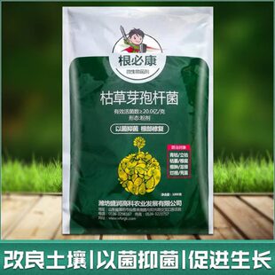 根必康 枯草芽孢杆菌死棵烂苗枯萎根腐黄萎病立枯病猝倒生物菌剂