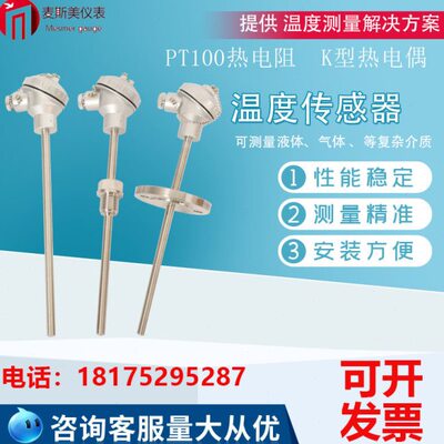 PT100热电阻铠装K型热电偶温度温度传感器变送器WZPK130/230/430