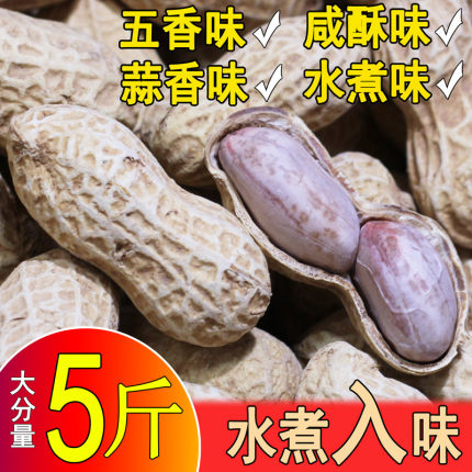 26年新龙岩花生带壳水煮白晒咸干蒜香五香湿烤盐水炒货零食特产熟