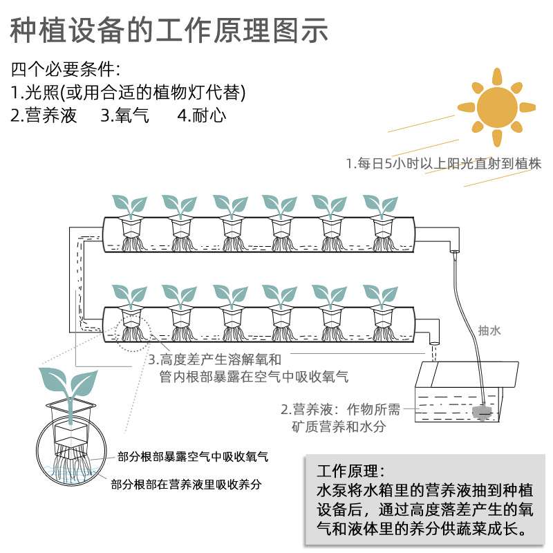 阳台种菜机 绿色蔬菜种植机器 无土栽培设备 三排两层圆管水培