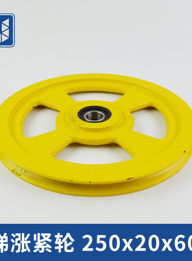 电梯涨紧轮250x20x6004 限速器轴承6004 奥的斯250 240 电梯配件