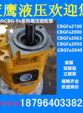 CBGv-CBGFa-2100/2080/2063/2050/2040装载机铲车CBG-Fa齿轮泵B1R