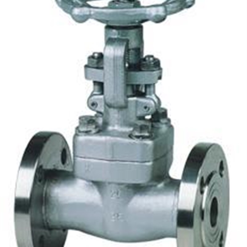 高压闸阀不锈钢法兰高压截止阀304锻压闸阀 DN15  4分