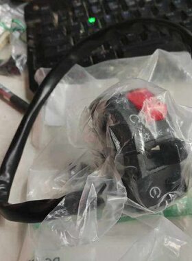 凌斌摩配 幼狮原厂配件 BJ500 左右操作开关 左右组合开关