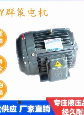 SY台湾群策电机 C01/C02/C03/C05/C7B/C10-43B0 1HP 2HP 3HP 5HP
