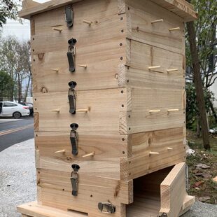 中蜂格子箱杉木板榫头巢蜜诱蜂箱土养实木五层交尾箱方格子厚包邮