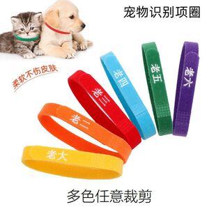 幼犬幼宠识别颈圈项圈标记区分分辨小猫记号小狗新生奶狗圈宠物
