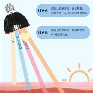 新型取暖灯泡宠物保暖灯爬宠加热夜灯龟缸专用灯乌龟晒背灯usb杀