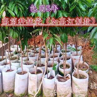 高筒植树袋无纺布加厚种植袋加长加高美植袋柑桔育苗袋花盆移植袋