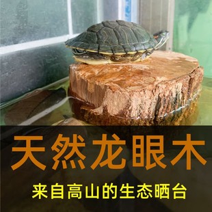 乌龟缸晒背台爬坡房子小别墅龙眼木养龟缸水陆两用高水位造景爬台
