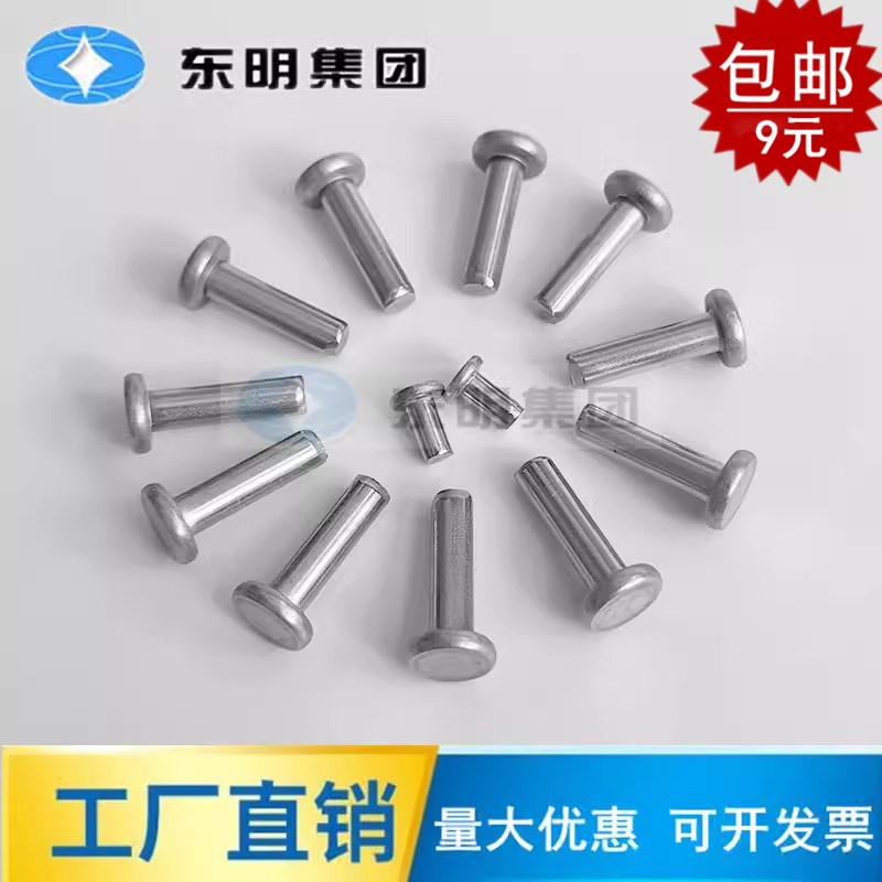 M2M3M4M5M6-M20不锈钢304平头铆钉 GB109敲击式平头实心铆钉 柳丁