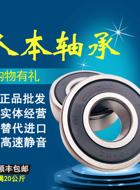 人本高速电机轴承6316 6317 6318 6319 6320 6321 6322 6324 2RZ