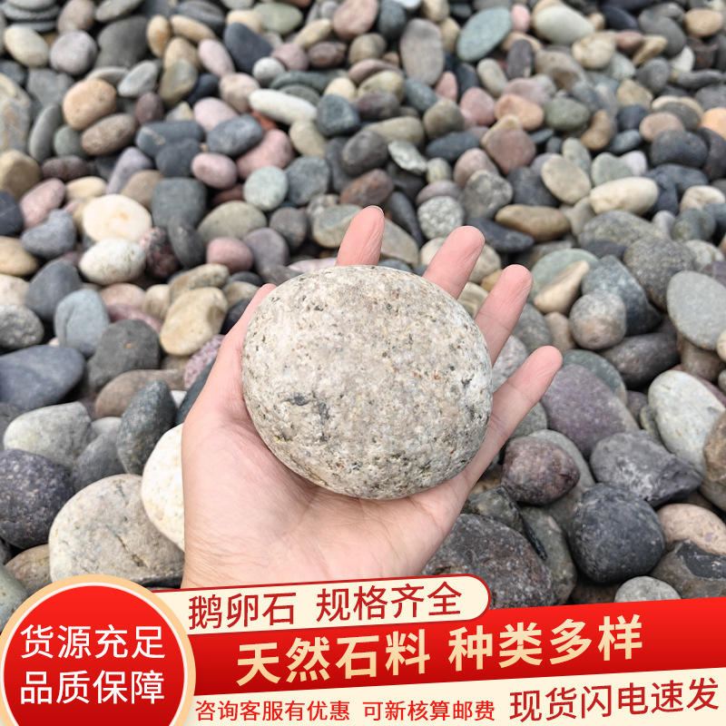 鹅卵石变压器机制鹅卵石人工湖河道河卵石铺路人头石工程大量批发