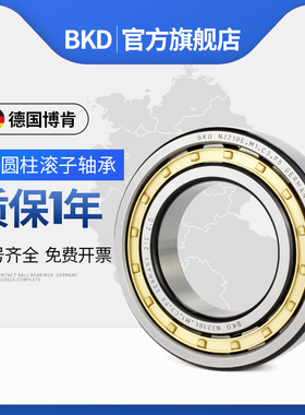 德国BKD进口轴承NJ1938 NJ1944 NJ1948 NJ1956 NJ1960 EM P5 P4