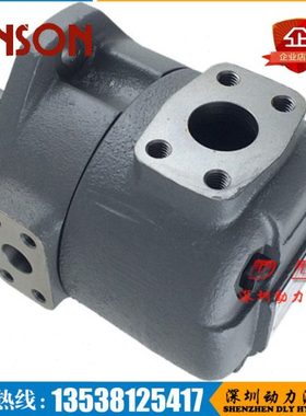 ANSON安颂泵F11/F3-IVP2-15/17/19AM-F/L-R/L-1A/1B/1C/1D-10/11