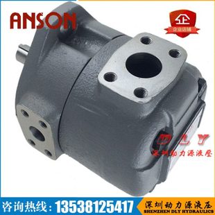 ANSON安颂泵F11 19AM IVP2