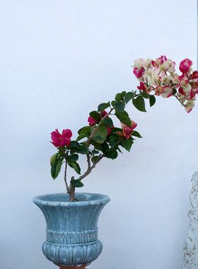 欧式风格花盆 粗陶挂釉冰裂纹灰兰色 绿色奖杯花盆花园庭院陶盆