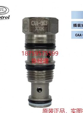 CAA-063 原装正台湾盘龙 DTL 插装阀 CAA-T11-XN 插装式梭动阀