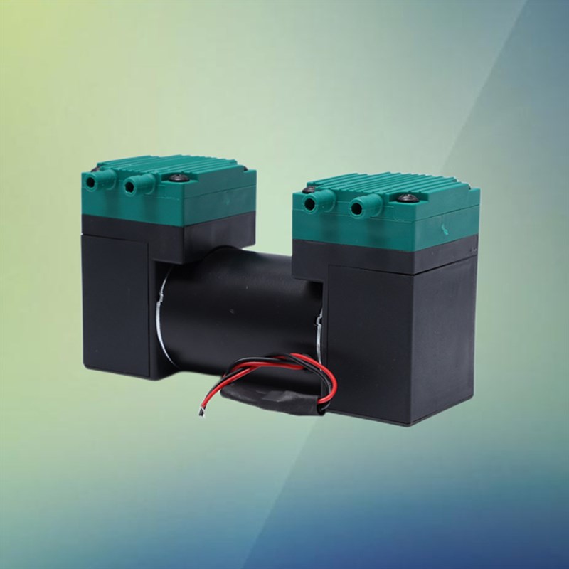 2AP51无油真空泵负压吸气泵微型E气泵直流双头隔膜泵美容汽车按摩