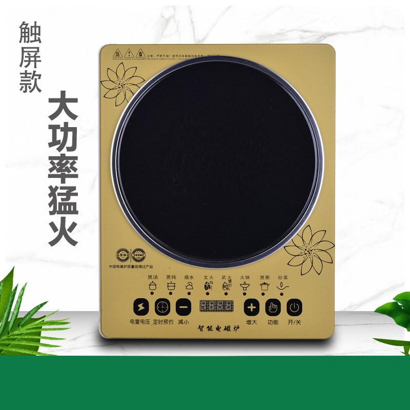 电磁炉家用厨房大功率触摸屏电池炉灶220v欧规110v礼品