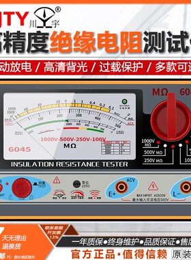南京天宇电子兆欧表TY6018 TY6017 TY6045绝缘电阻表测试电压