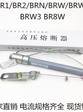 BR1 BR2 BRN BRW-10KV/42A 43A 45A 46A 48A 49A 50A高压熔断器