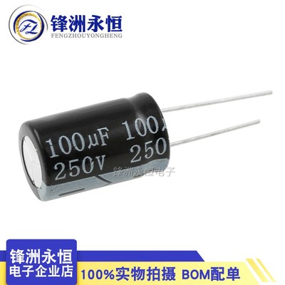 250V100UF 16*25mm 电解电容 全新现货