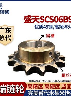 盛天SCS链轮加工成品成型孔 SCS3分06B9齿 高精度耐磨损 申马传动
