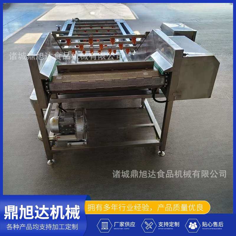 果蔬气泡清洗机全自动翻浪提升式洗果机高压喷淋净菜加工流水线