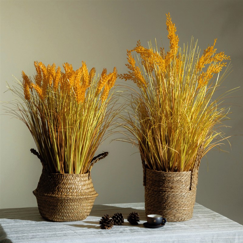 2025新款稻穗干花花束真水稻麦穗田园装饰五谷丰登拍摄道具稻谷花