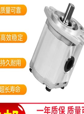 CBTD-F440-ALH6L油泵 凿岩钻机齿轮泵CBTD-F432-ALH4