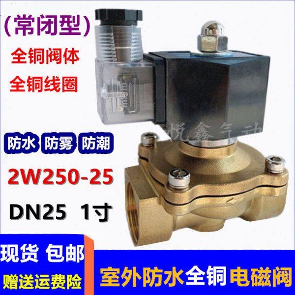 室外专用防水电磁阀 2W250-25 220V电磁阀水阀 DN25二通电磁阀24V