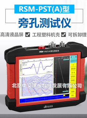 武汉中岩科技RSM-PST(A)旁孔测定仪基桩旁孔测试仪