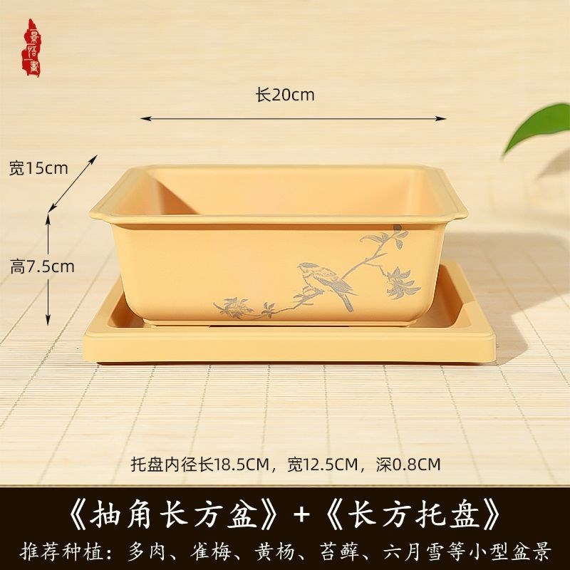 长方形花盆多肉植物文竹梅花迎客松榕树盆景树脂彷紫砂马槽盆