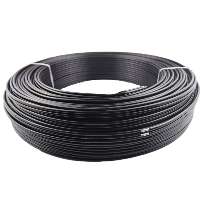 铝芯电线a电缆4 6 10 16 25 35平方 架空线平行国标双芯防老化铝