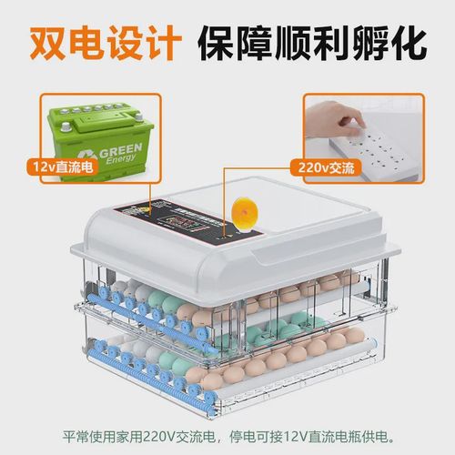 可做英文110-240V孵化机全自动小型家用孵化器智能孵化箱孵蛋器鸡