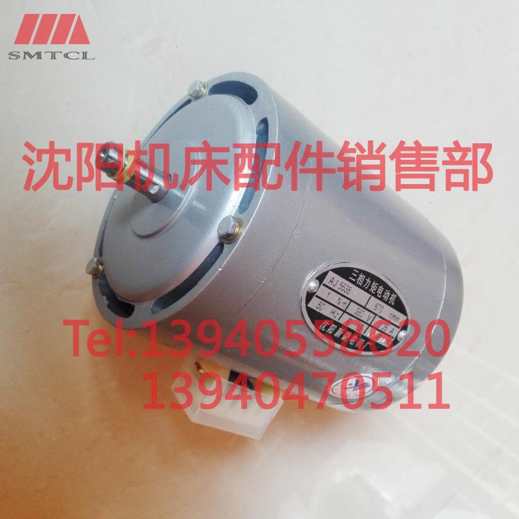 沈阳新微AJ5638三项力矩电动机微型380V卧式0.35A670立式50Hz