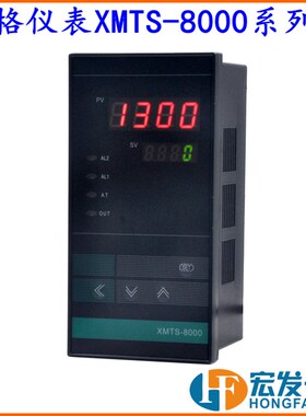 海格仪表XMTS-8411 8431全输入智能数字显示控制仪温控表温控器