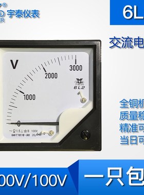 6L2 3000V/100V中频电压表指针频率hz1000中频炉电控柜非直通