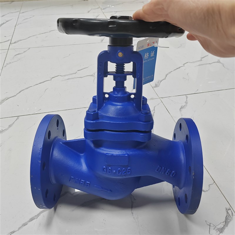 波纹管截止阀耐高温铸钢锻打法兰蒸汽阀门WJ41H-16C DN50 100 150