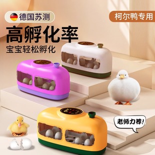 柯尔鸭孵化器小型家用柯尔鸭蛋孵蛋器受精蛋全自动孵鸭子孵蛋套装