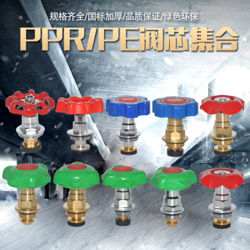 PPR PE截止阀阀芯 PE截止阀闸阀水阀阀门 国标精品 水管管件配件