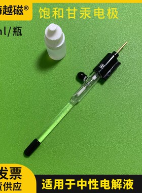 SCE饱和甘汞电极/直型甘汞电极/R232型甘汞电极/加长款甘汞电极
